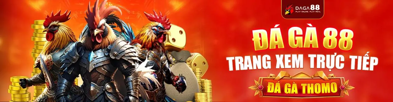 Hình ảnh đại diện cho tuân thủ GDPR và bảo mật dữ liệu tại 89bet1 Login